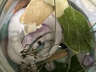 Marinuoti agurkai „Krisantys“ Žingsnis 2