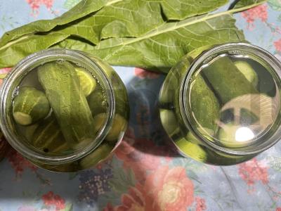 Marinuoti agurkai „Krisantys“ Žingsnis 4