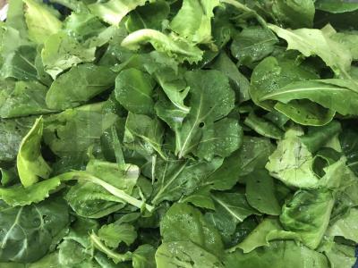 Salotos su tunu ir varškės sūriu Žingsnis 1