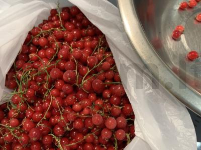 Raudonųjų serbentų sultinys Žingsnis 1