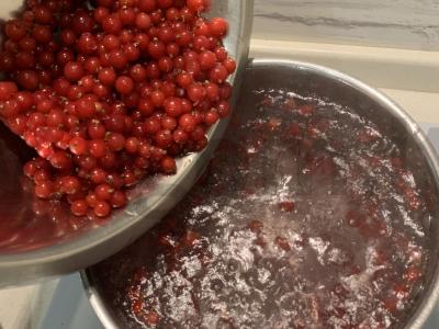 Raudonųjų serbentų sultinys Žingsnis 4