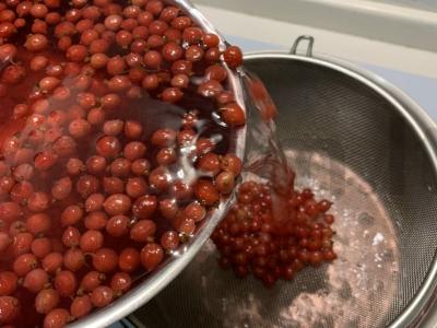 Raudonųjų serbentų sultinys Žingsnis 5