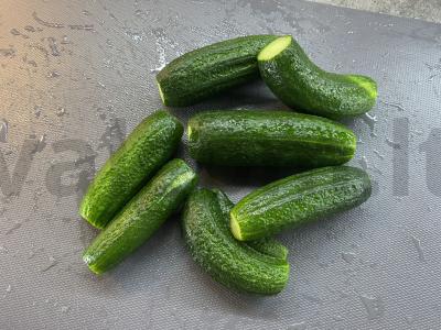 Sūdyti agurkai konteineryje Žingsnis 1