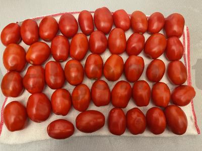 Džiovinti pomidorai su česnaku ir itališkais prieskoniais Žingsnis 1