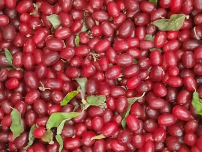 Kompotas „Rūgščiai saldus nuotaikas“ Žingsnis 1