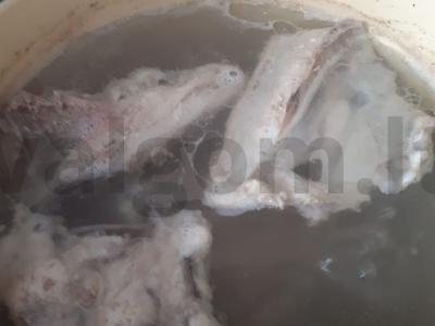 Kalakutų boršas Žingsnis 1