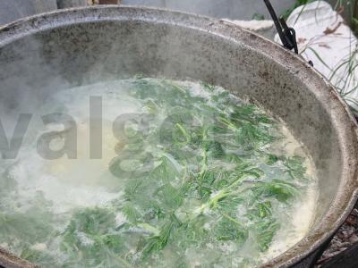 Žalias sriuba iš kiaulienos šonkaulių ir dilgėlių katile Žingsnis 5