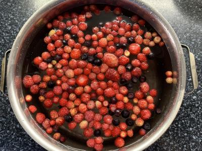 Vitamininis želė iš uogų Žingsnis 2