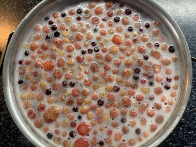 Vitamininis želė iš uogų Žingsnis 3