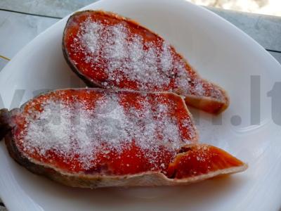 Silkė silpnai sūdyta namuose Žingsnis 3