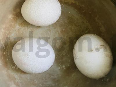 Žuvies tortas su tunu Žingsnis 1