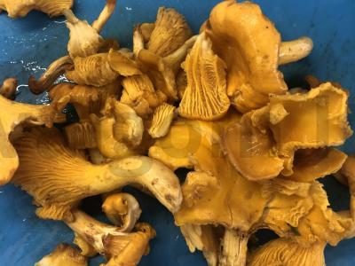 Vištienos šlaunelės su voveraitėmis Žingsnis 5