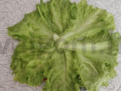 Pomidorų užkandis su sūriu ir česnaku Žingsnis 4