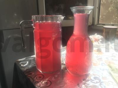 Kizilo, persikų ir slyvų kompotas pagrindine nuotrauka