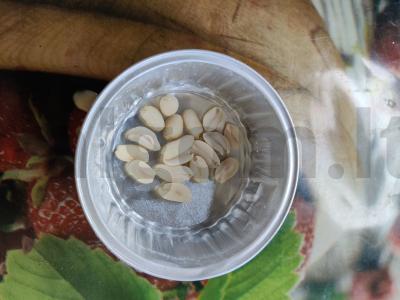 Žemės riešutų kruasanai su sirupu Žingsnis 3