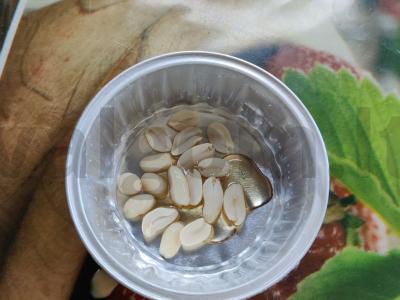 Žemės riešutų kruasanai su sirupu Žingsnis 4