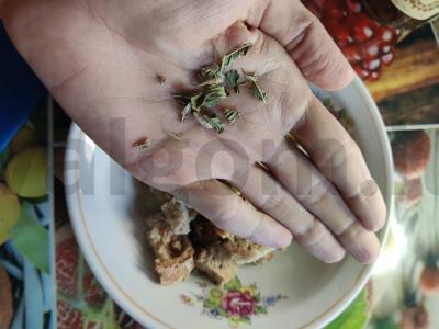 Skrebučiai su česnaku, baziliku ir estragonu Žingsnis 3