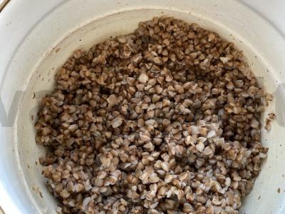 Graikiška grikių košė Žingsnis 1