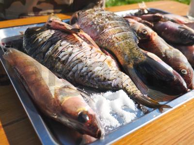 Džiovinta žuvis ant šiaudų krosnyje Žingsnis 3