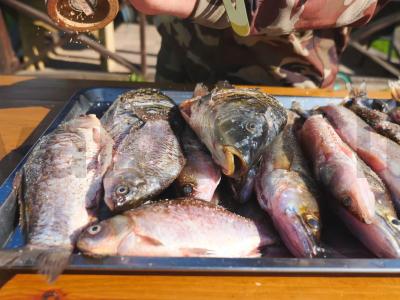 Džiovinta žuvis ant šiaudų krosnyje Žingsnis 4