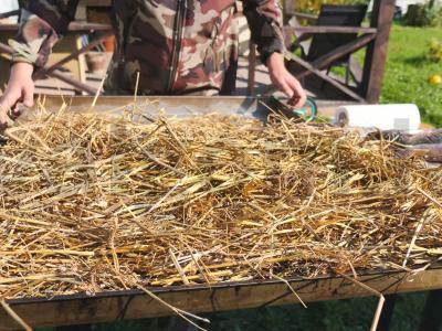 Džiovinta žuvis ant šiaudų krosnyje Žingsnis 7