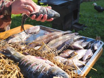 Džiovinta žuvis ant šiaudų krosnyje Žingsnis 8
