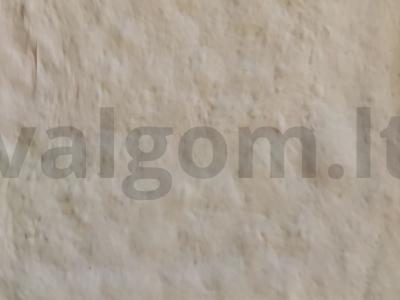 Namų pica su dešra, sūriu ir grybais Žingsnis 1