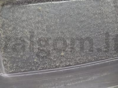 Varškės apkepas su razinomis arbatos vakarėliui Žingsnis 3