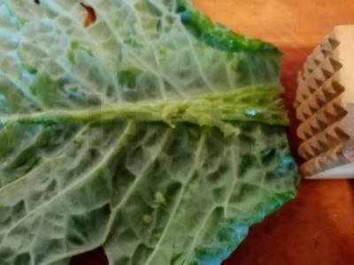 Savojaus kopūstų golubcai Žingsnis 1