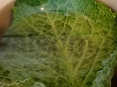 Savojaus kopūstų golubcai Žingsnis 2