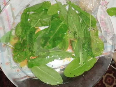 Lengvas sriuba su kiaulienos šonine ir rūgštynėmis Žingsnis 2