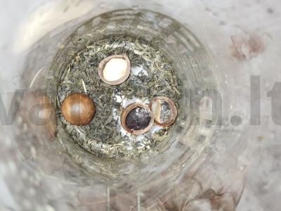 Žalioji arbata su makadamijos kevalais Žingsnis 1