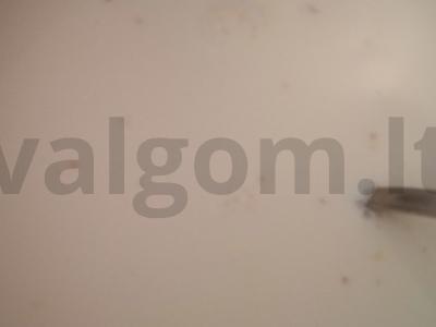 Kasha iš polbos ir perlinių kruopų su sėlenomis Žingsnis 5