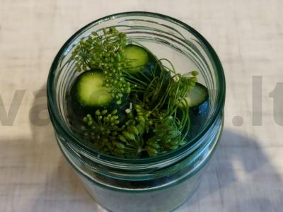 Sūdyti agurkai pagal močiutės receptą Žingsnis 1