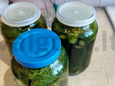 Sūdyti agurkai pagal močiutės receptą pagrindine nuotrauka