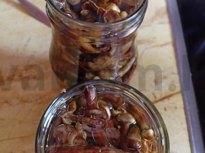 Marinuoti pievagrybiai žiemai Žingsnis 4