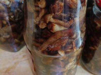 Marinuoti pievagrybiai žiemai pagrindine nuotrauka