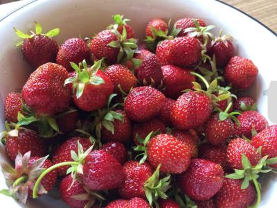 Avižinė košė su braškėmis ir bananais Žingsnis 2