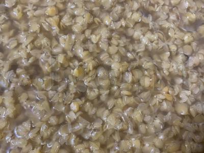 Turkiškas raudonosios lęšio sriuba Žingsnis 4