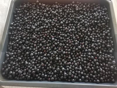 Juodųjų serbentų uogienė su cukrumi Žingsnis 1