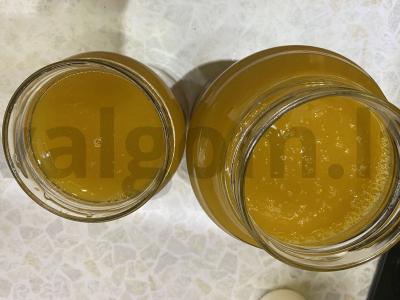 Skanus abrikosų sultys pagrindine nuotrauka