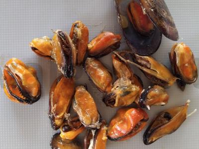 Avinžirniai su midijomis ir salierais Žingsnis 3