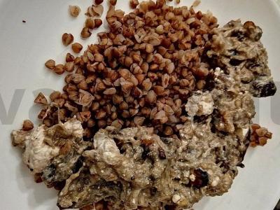 Kepti baklažanai su graikiniais riešutais ir brynza pagrindine nuotrauka