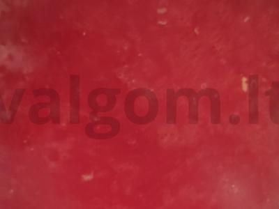 Borščas su pomidorų pasta pietums Žingsnis 6