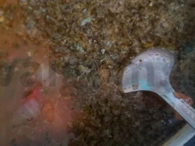 Šurpa su vištiena Žingsnis 4