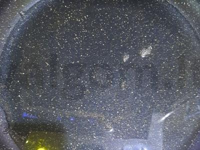 Įdaryti pipirai su kalendra ir baziliku Žingsnis 2