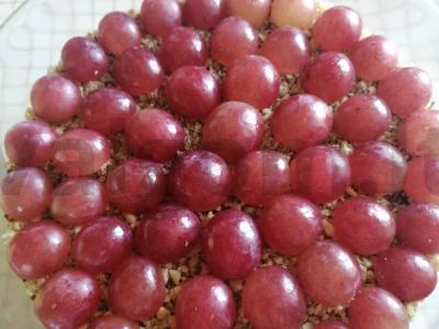 Šventinis salotas su vištiena, džiovintais abrikosais ir vynuogėmis pagrindine nuotrauka