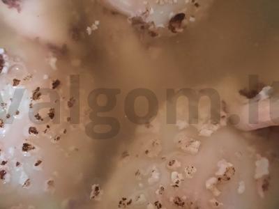 Sotūs salotas su kalmarais Žingsnis 1