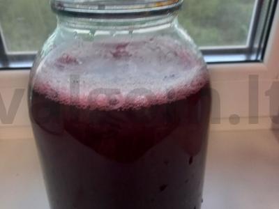 Šaltalankių, aviečių ir vyšnių kompotas Žingsnis 4