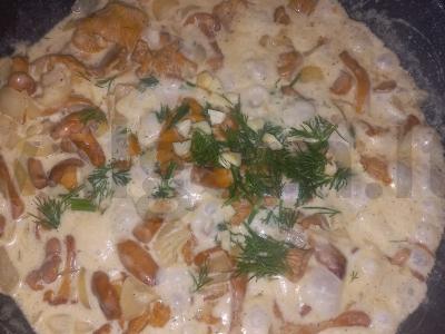 Voveraitės grietinėlėje pagrindine nuotrauka